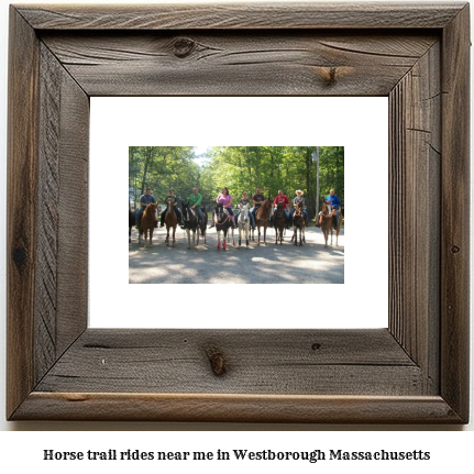 horse trail rides near me in Westborough, Massachusetts